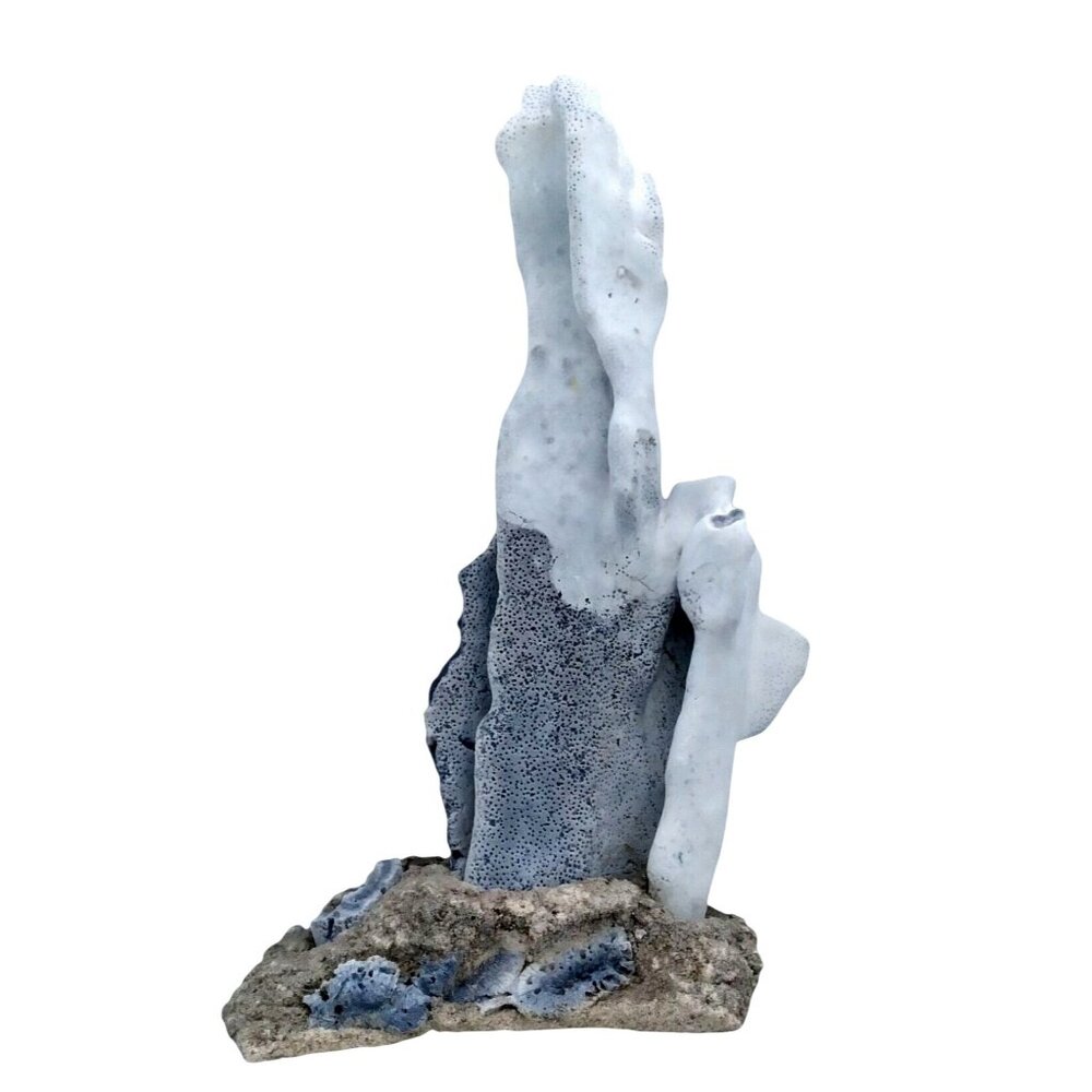 Rare Genuine Blue Ridge Coral Heliopora Coerula Specimen ~ 12. 1/2" H x 6" W